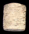 FuseParrott3.JPG (28566 bytes)